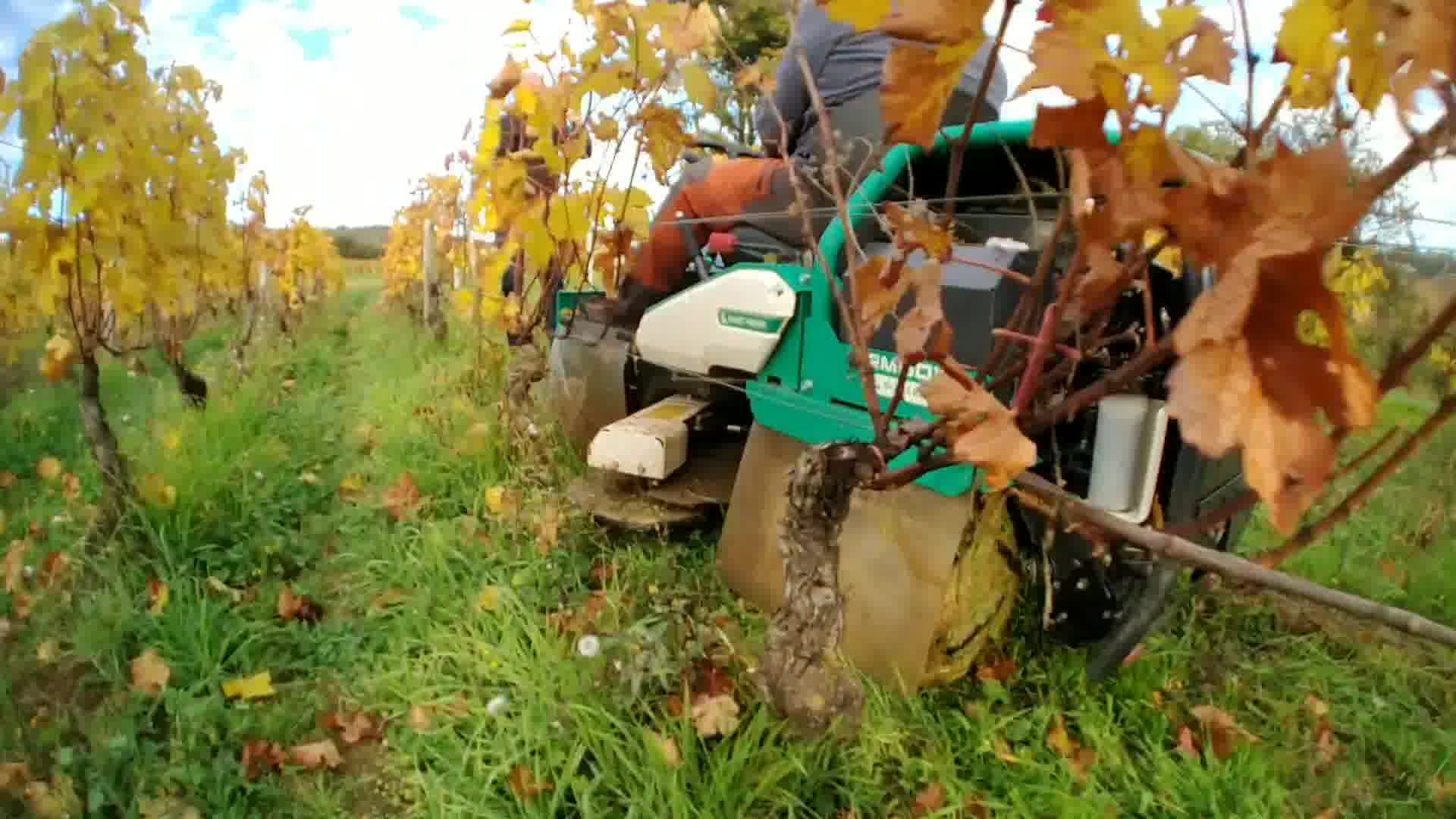 Essai de la nouvelle débroussailleuse autoportée inter-rangs OREC RM60W ...