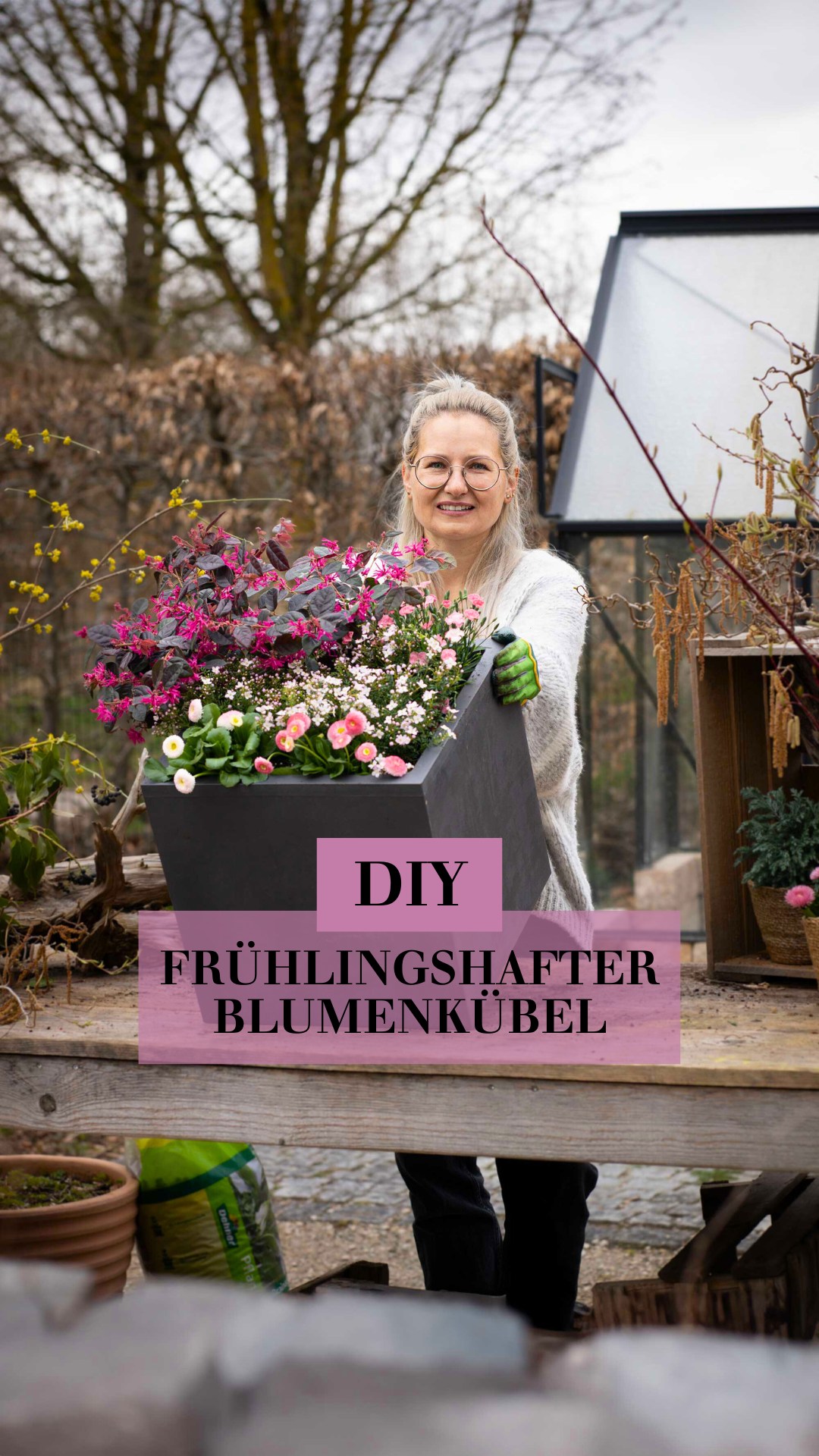 Erfahre von Anja, wie Du Deinen Pflanzkübel in ein frühlingshaftes Blumenmeer verwandelst. 💕 Mithilfe von Riemenblüten, Nelken, Korallenrauten und Bellis kannst du Deinen Garten oder Deine Terrasse in
