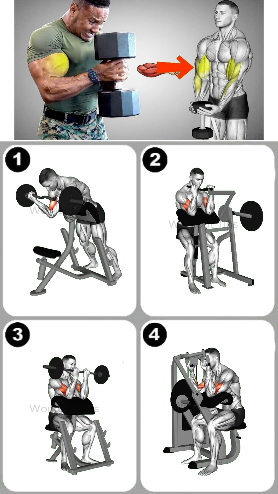 How to get bigger Shoulders 🔥 | Workout Tips | Facebook