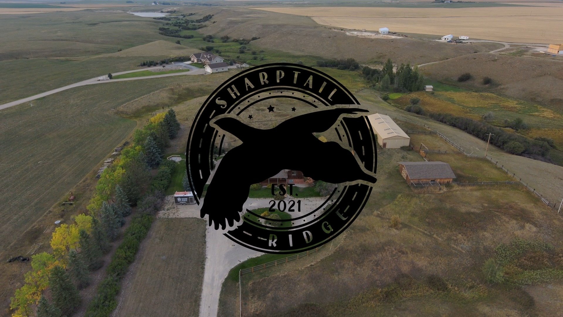 Sharptail Ridge Bird Dogs & Lodge | Lewistown MT
