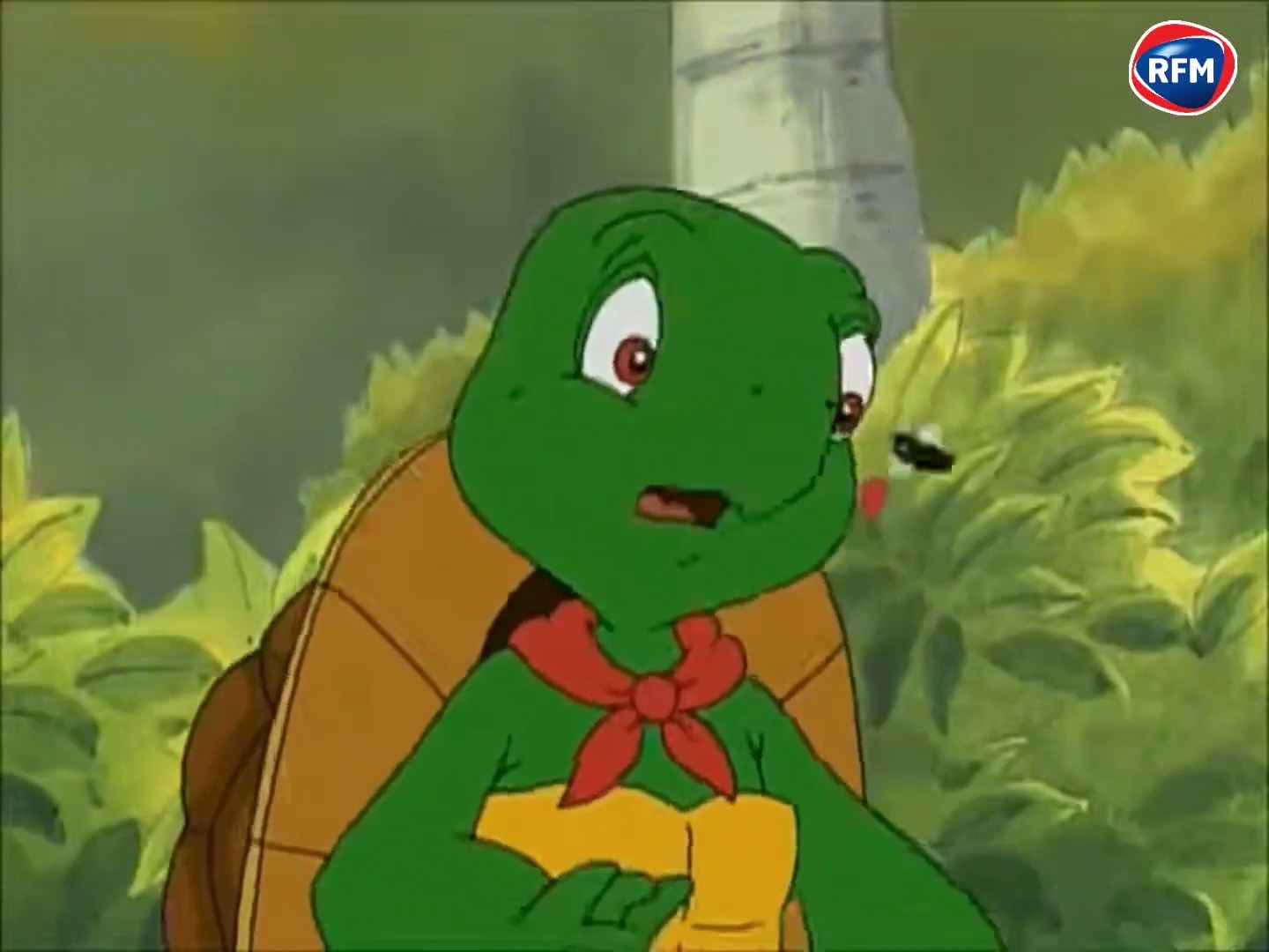 🥳 Le dessin animé #Franklin fête son anniversaire aujourd'hui ! 🐢 La ...
