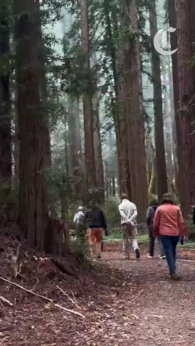 New trails being forged off Skyline Drive in Redwood City