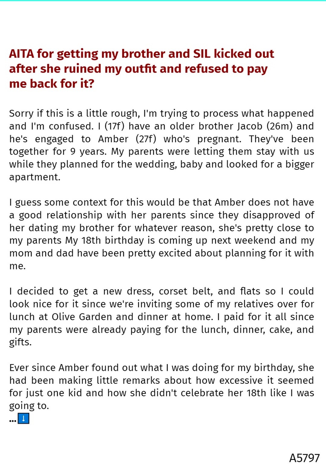 my sil ruined my birthday dress Sorry if this is a little rough, I'm trying to process what happened and I'm confused. I (17f) have an older brother Jacob (26m) and he's engaged to Amber (27f) who's pregna Outfit Option:Complete Outfit-Long Sleeve