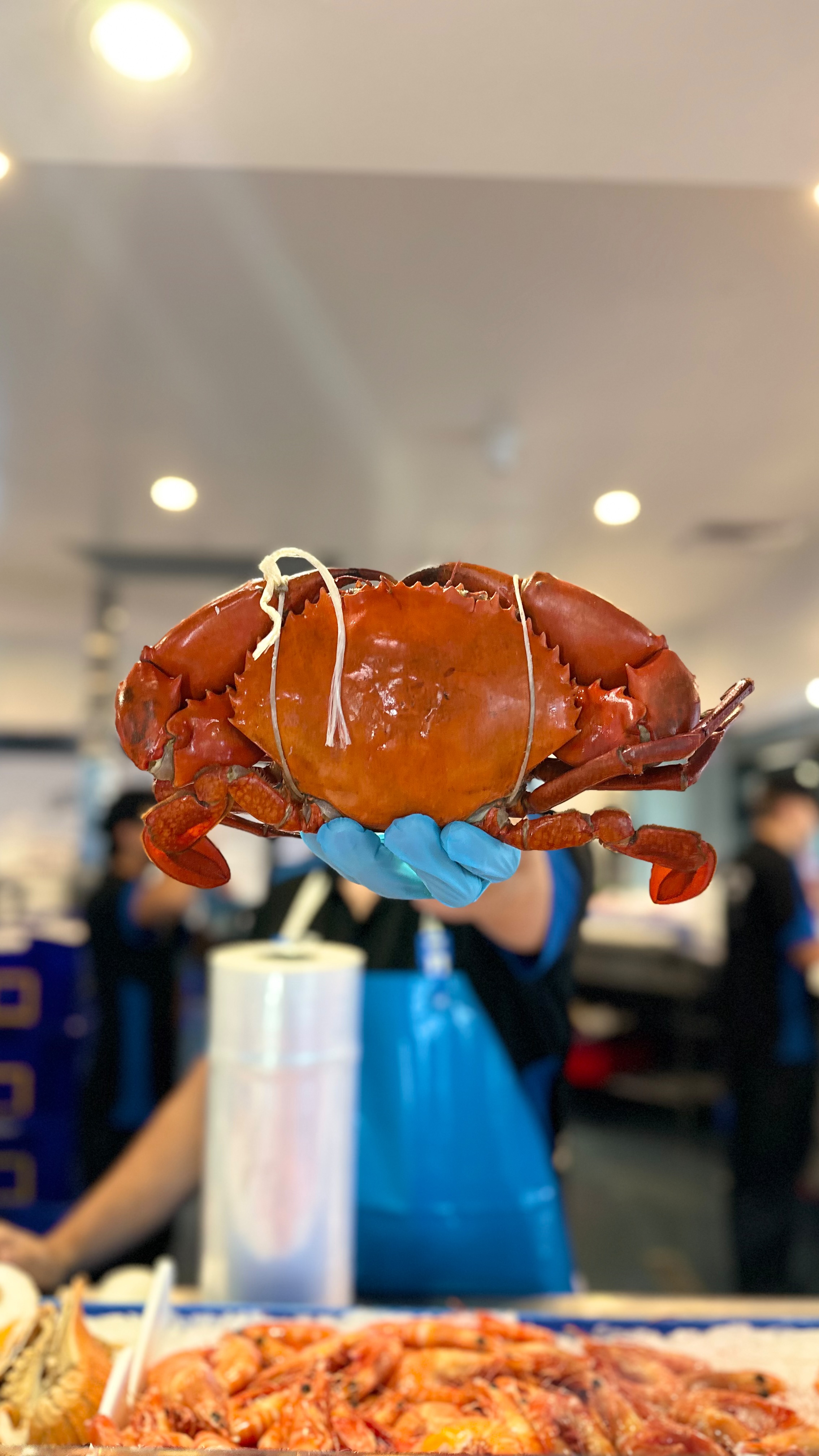The Fish Factory | Morningside QLD