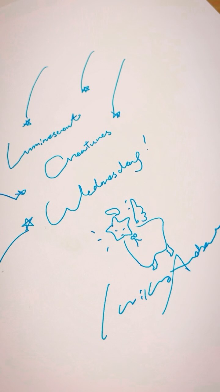 Coming Soon…🌌✧ | 青葉市子 - Ichiko Aoba | Facebook