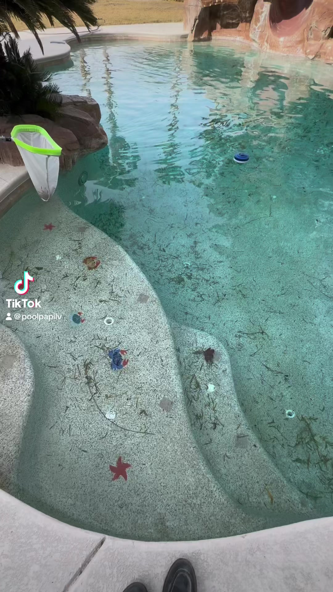 Pool Era Pools Las Vegas