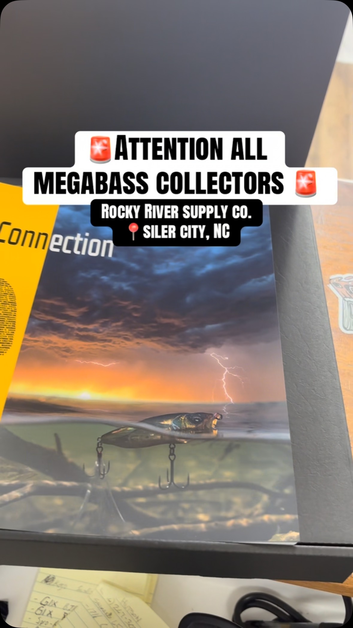 3❤︎ The new Megabass catalog each year is always a site to behold