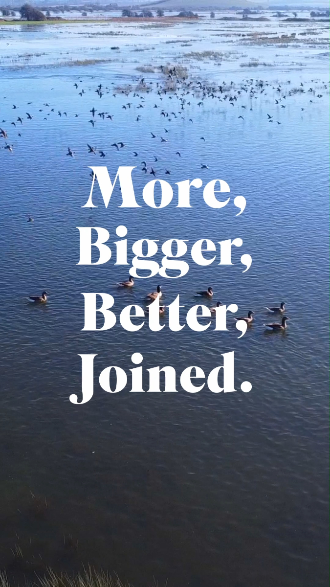 RSPB Dungeness - At RSPB Dungeness we are very excited to... | Facebook