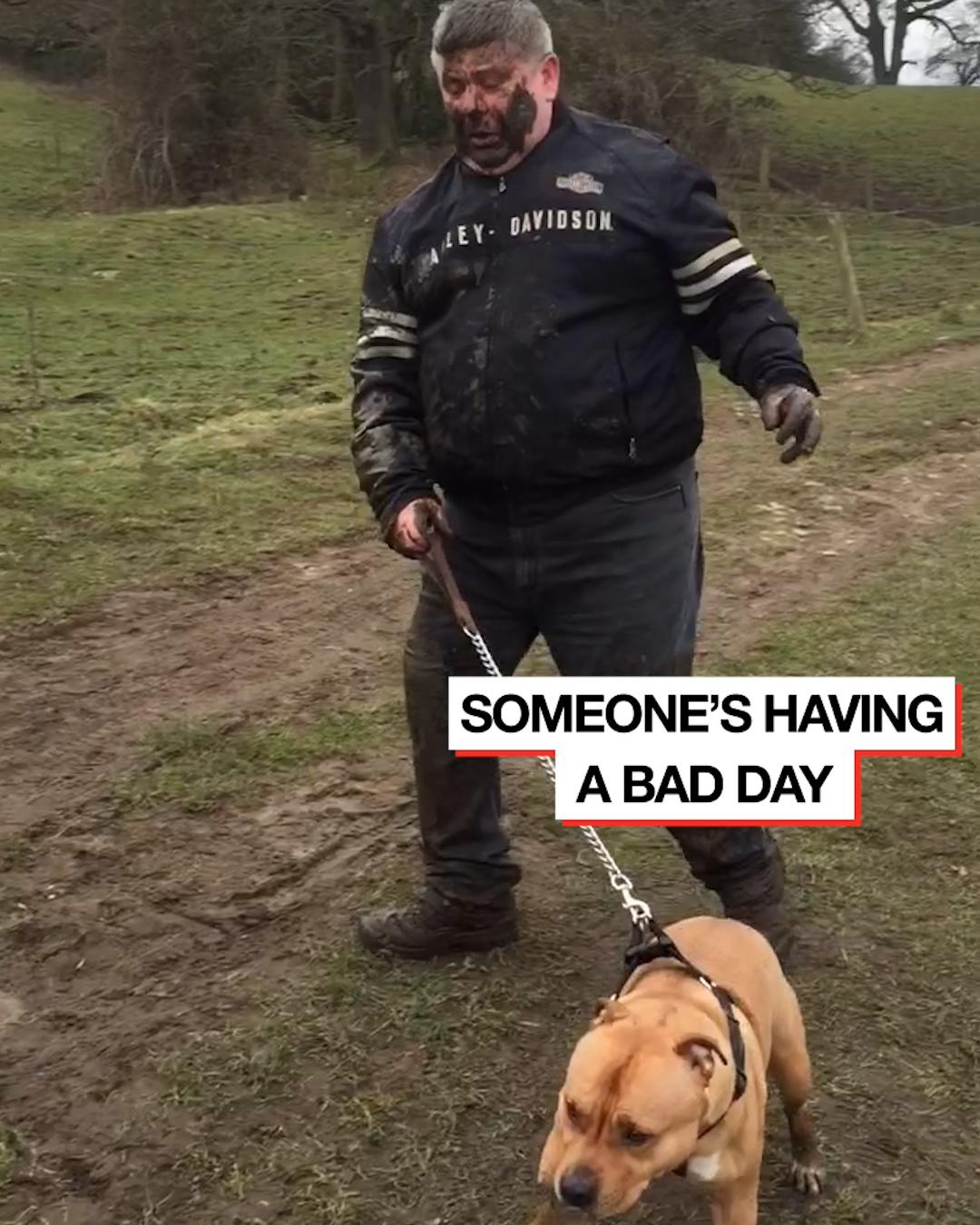 Dog walking fails | Who knew walking your dog could go so wrong? 😂 🙈 ...
