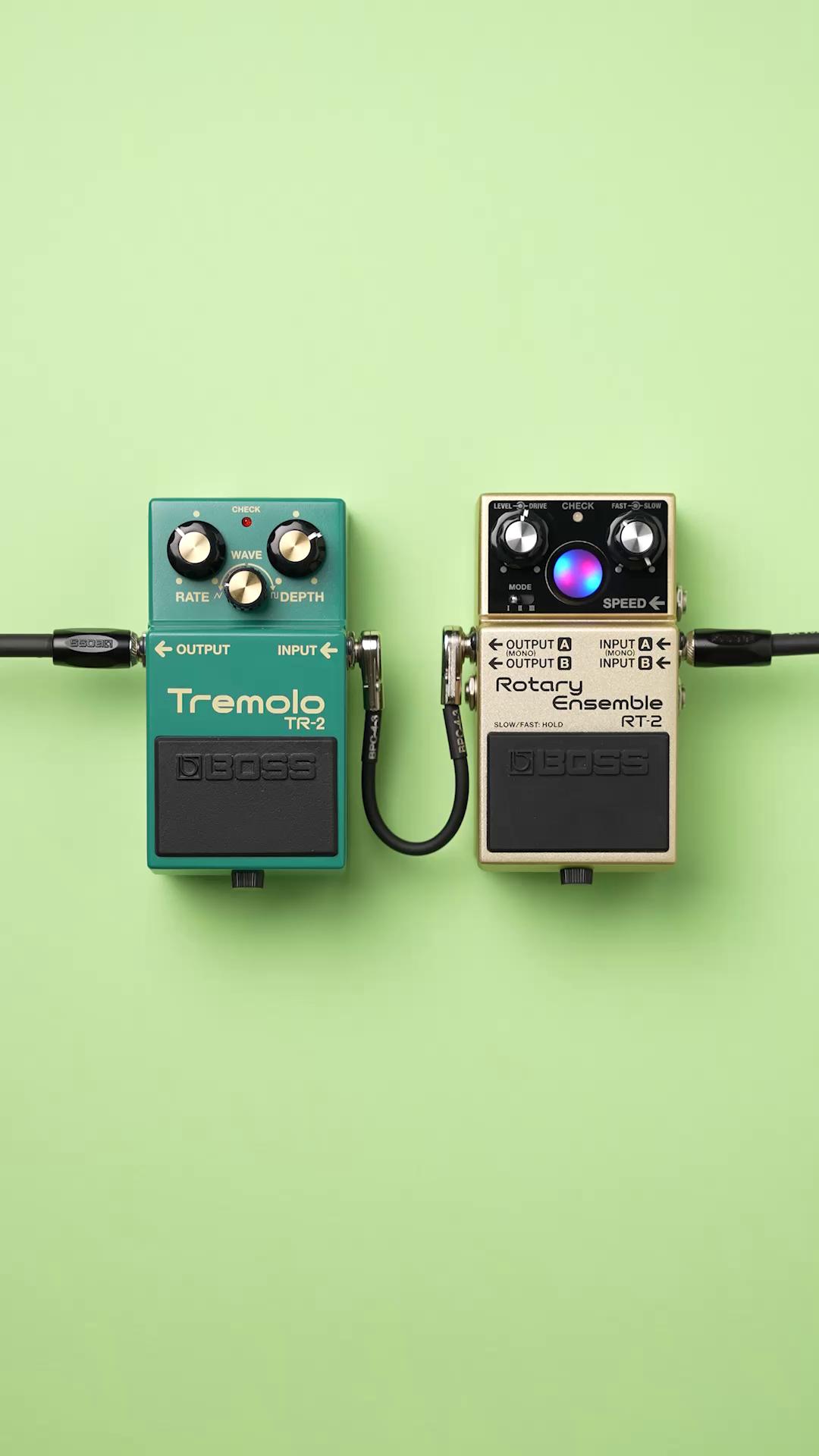 The BOSS Waza Craft CE-2W Chorus and DM-2W Delay are a match made