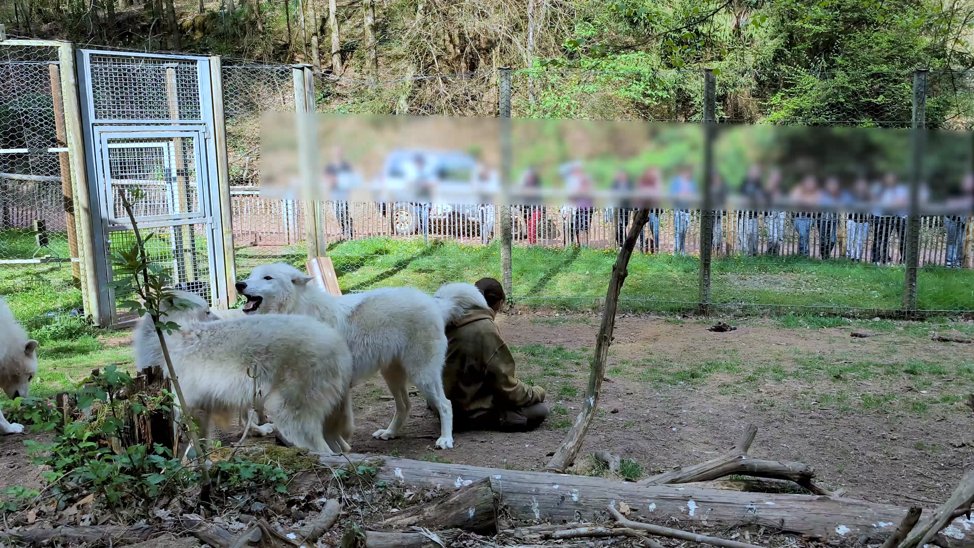 Wolfspark Werner Freund Merzig/Saar | Merzig
