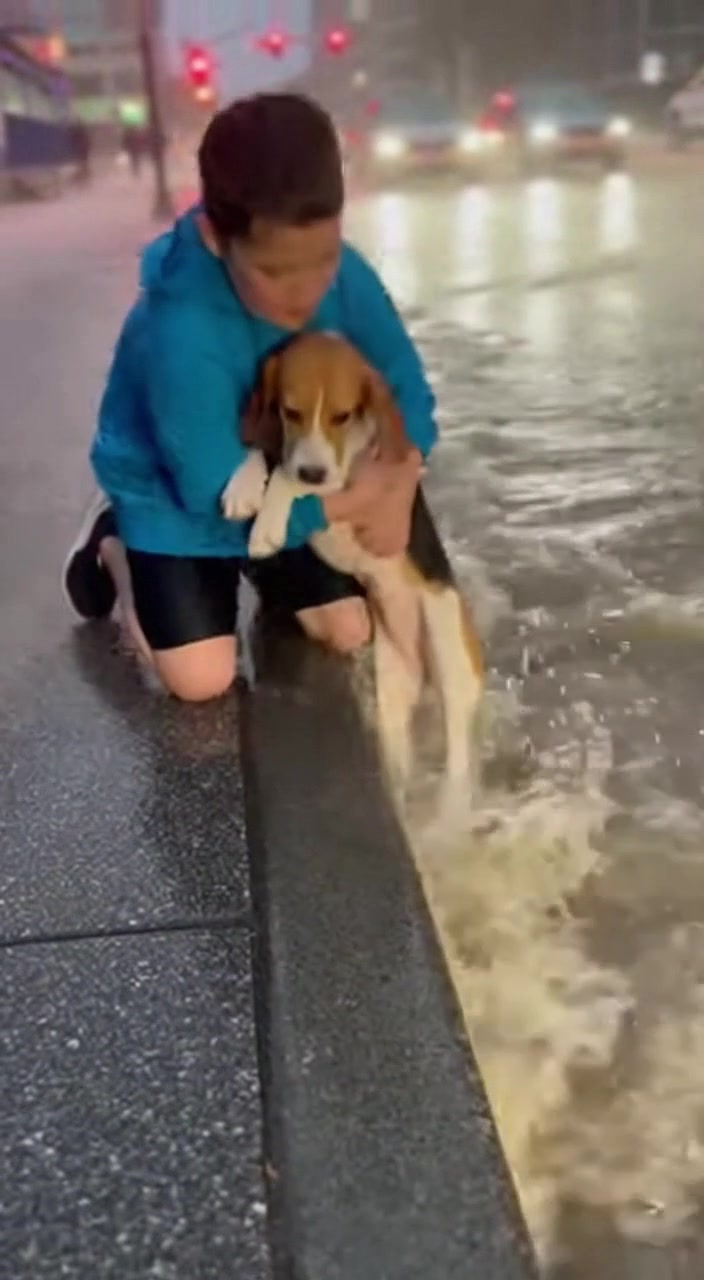 Heartwarming Rescue: Boy... - Fabiosa Kindness in Action | Facebook
