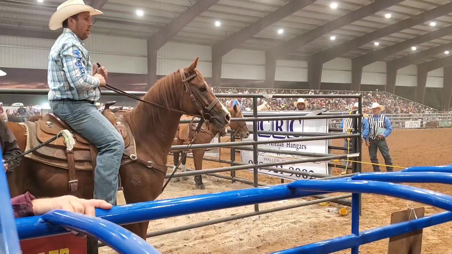 TwisTed Rodeo