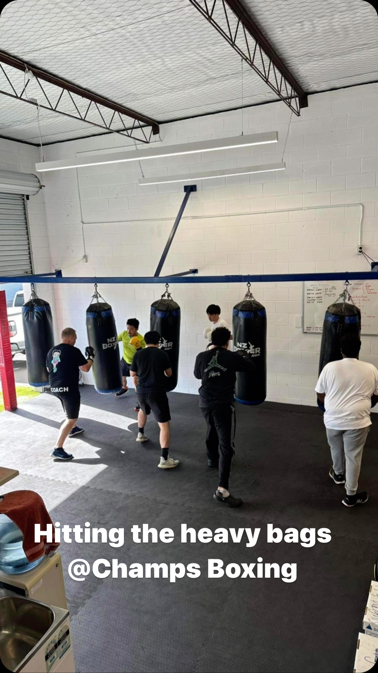 Champs Boxing | Howick