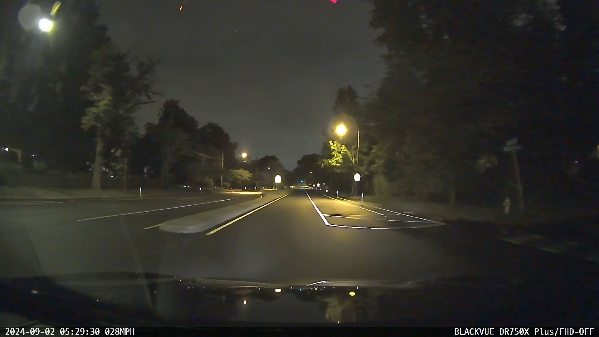 What type of owl was spotted in North Richmond, Virginia?