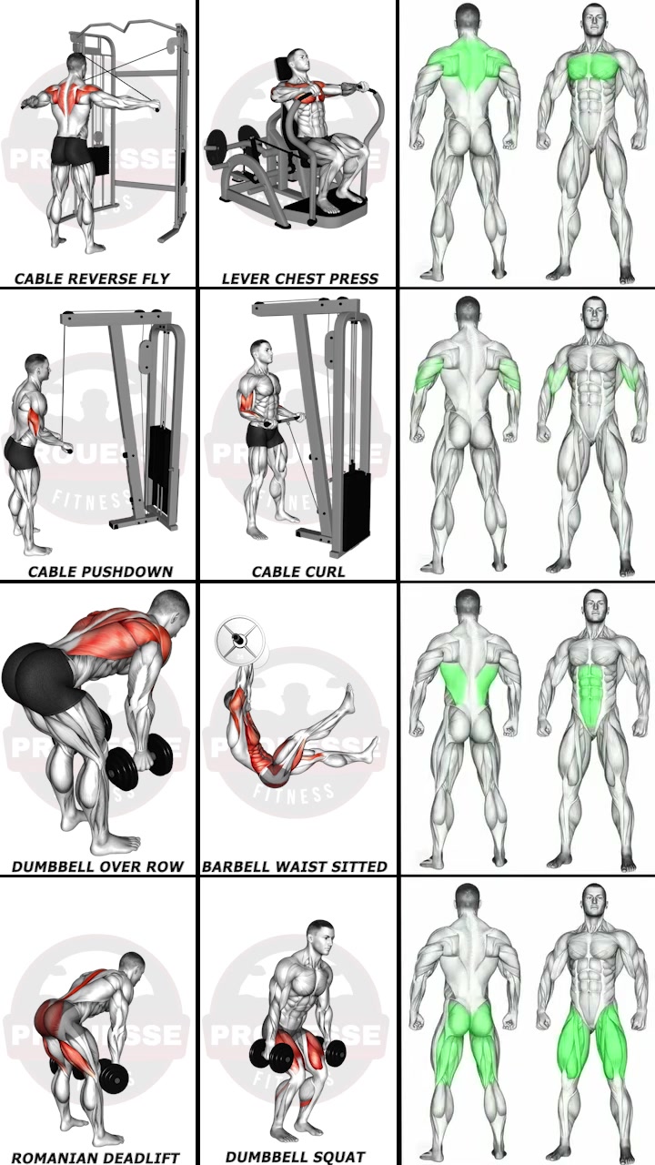 How to Train Your Entire Body Efficiently | Best Full Body Routine for ...