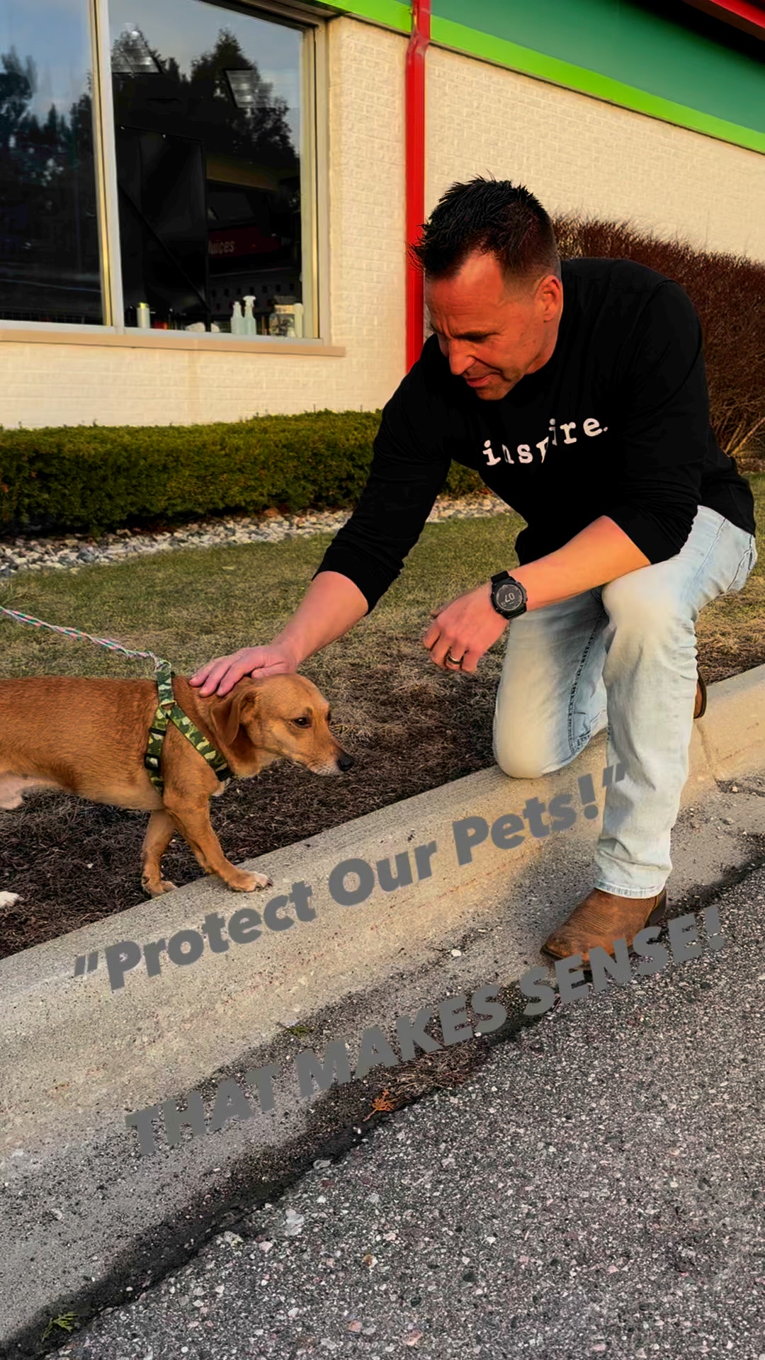 Shout out to MAX! A rescue dog SUPERSTAR! https://protectmipet.com ...