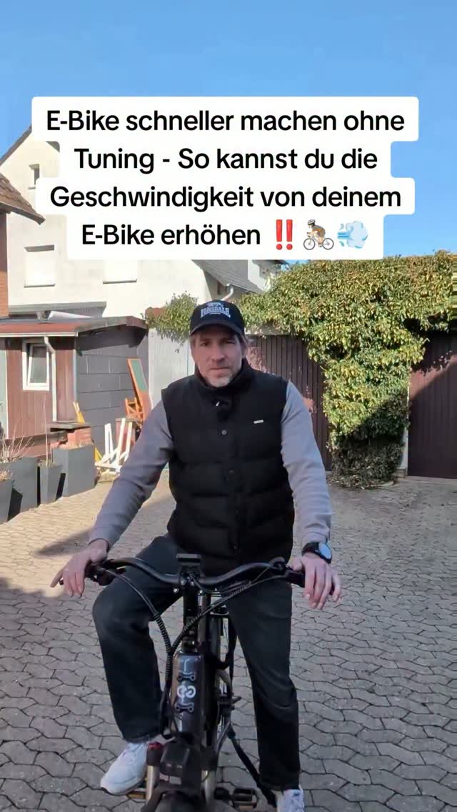 e bike 20 klapprad SAXONETTE Zoll mit Rücktrittbremse und nabenschaltung, E Fahrrad Herren mit 36V 11.4Ah 410Wh Akku, 80KM Lange Range, Elektrofahrrad Farbe:Mineral White Mammut Retro 1929 - Steine