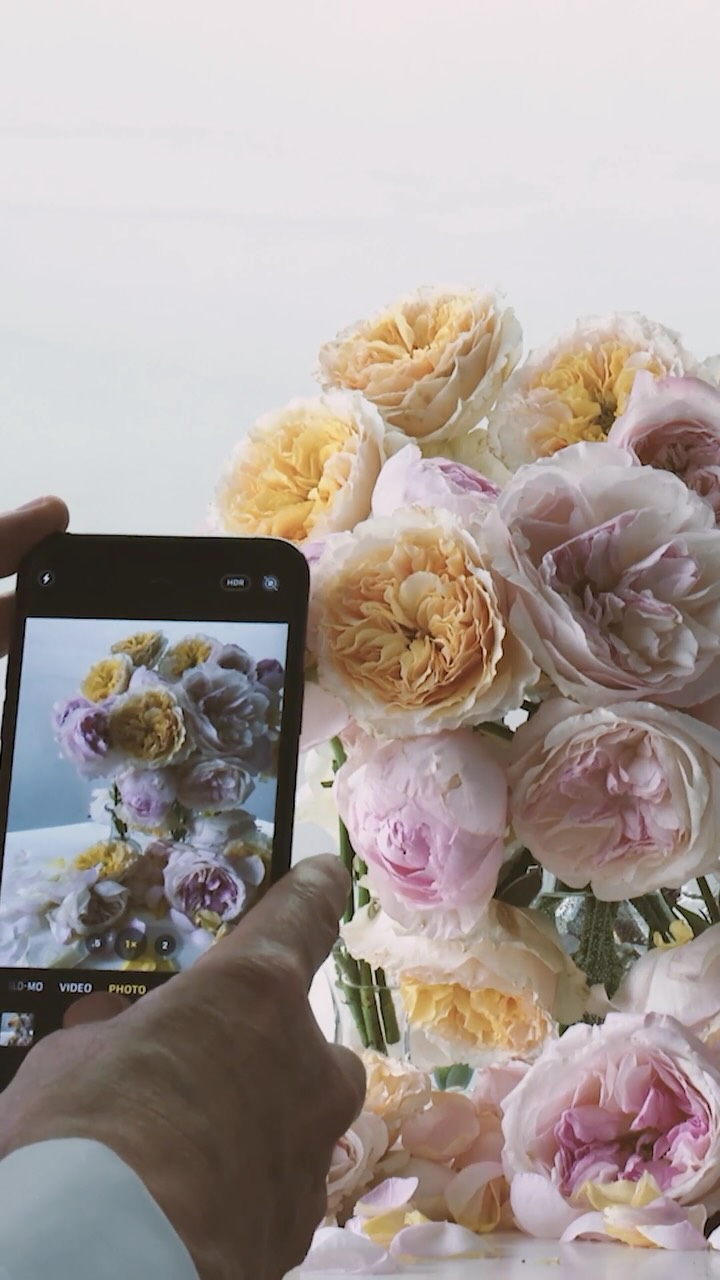 NICK KNIGHT, ROSES FOR TOKYO ⁡ 2026/9/5 Sat.～ 10/5 Mon. ⁡ ⁡ 世界