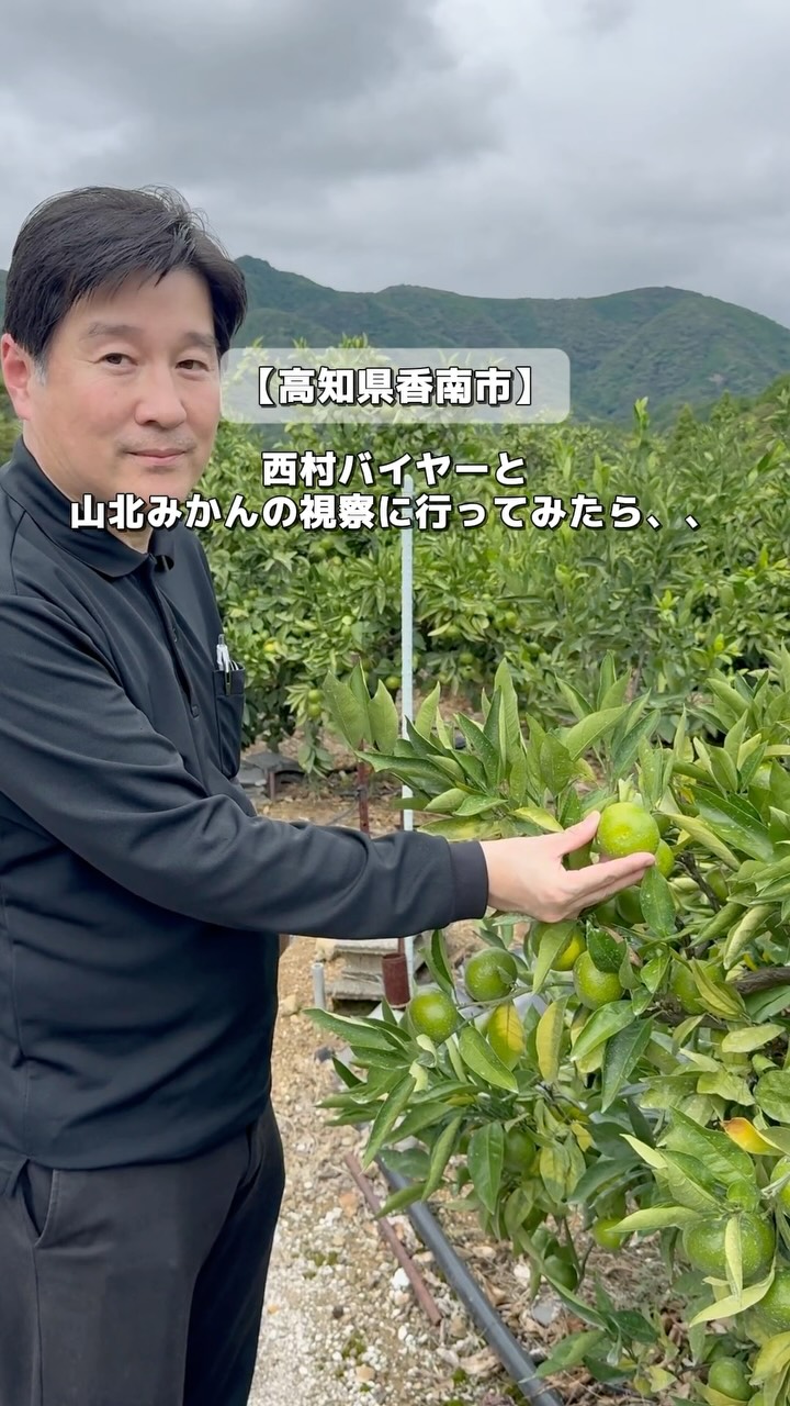 サンプラザ高知