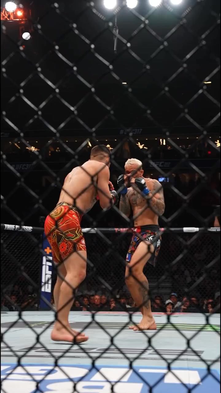 SpaceBoxing.com