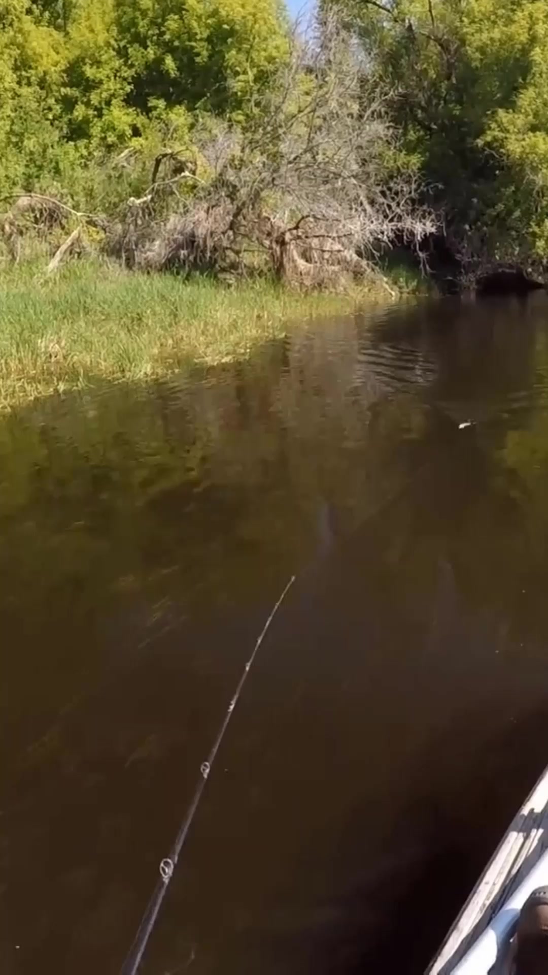 #fishing #fish #outdoors #flyfishing #nature #catchandrelease # ...