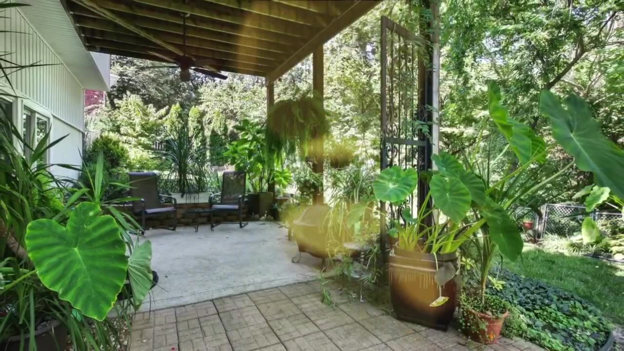 Dan Vick Team Home Facebook