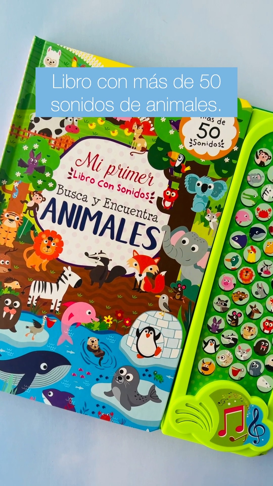 Libro Sonoro Animal Songs – 6 Canciones En Inglés Para Bebés Desde 1 Año, Juguete Educativo Interactivo Para Aprender Jugando