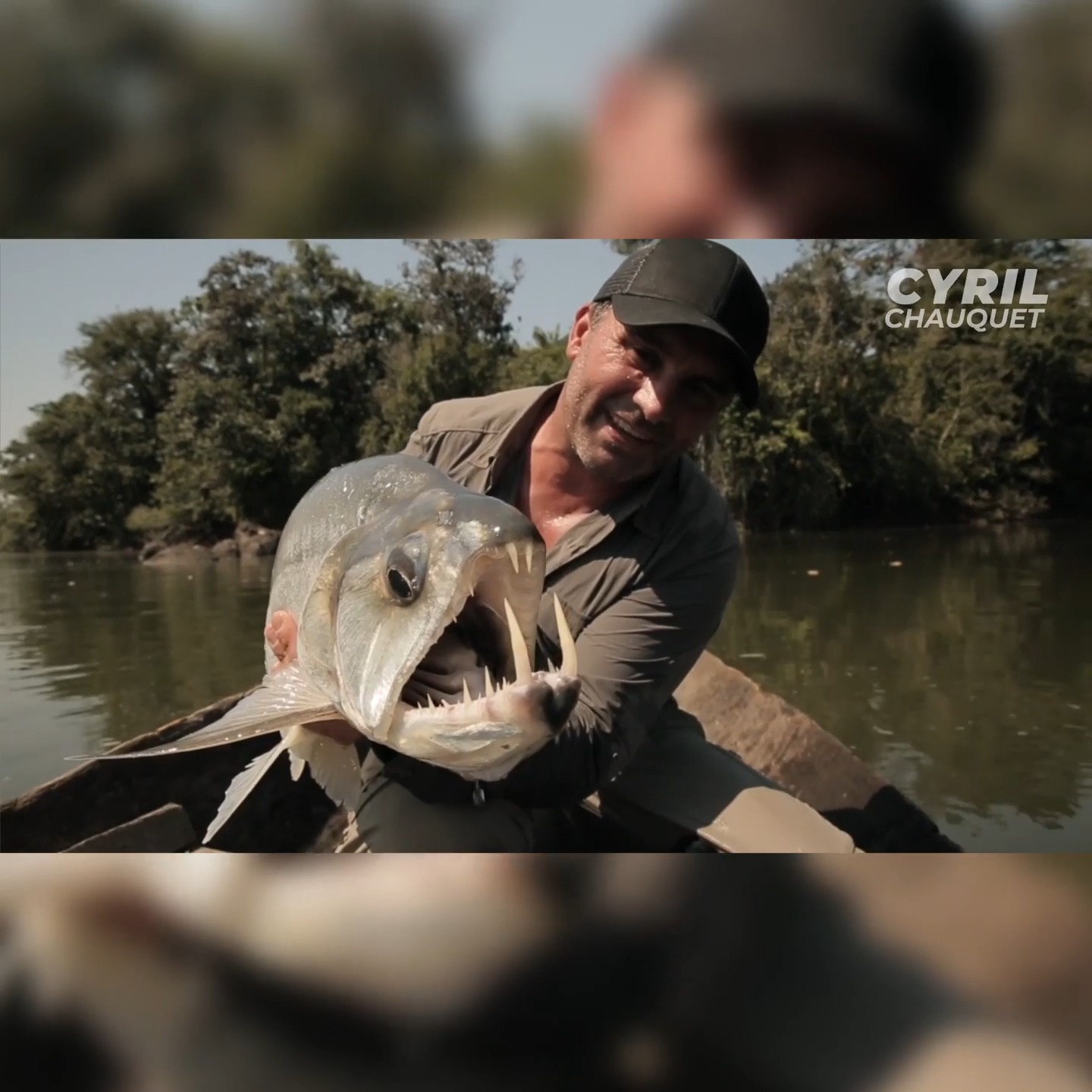 Cyril est au Brésil, à la recherche d'un poisson vampire, ou Payara ...