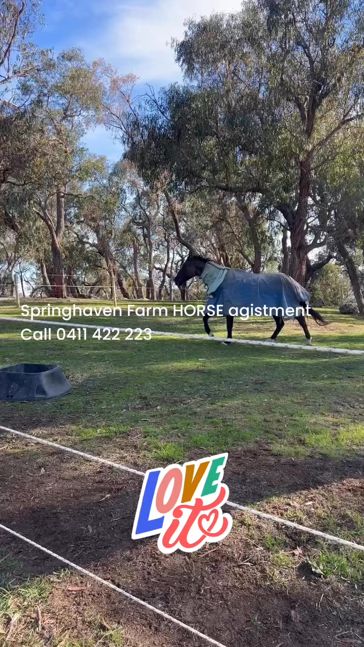 Springhaven Farm on Reels | Facebook