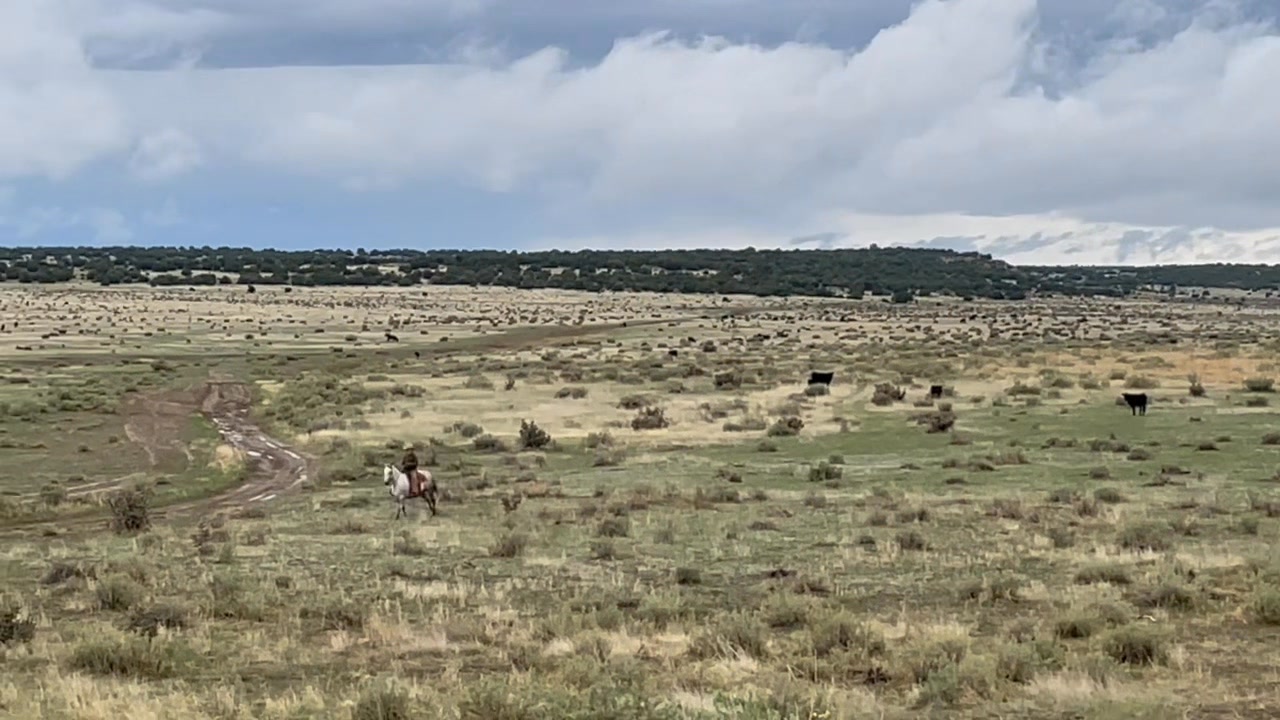 John Welch talks about running cattle on his Apishapa Canyon Ranch in ...
