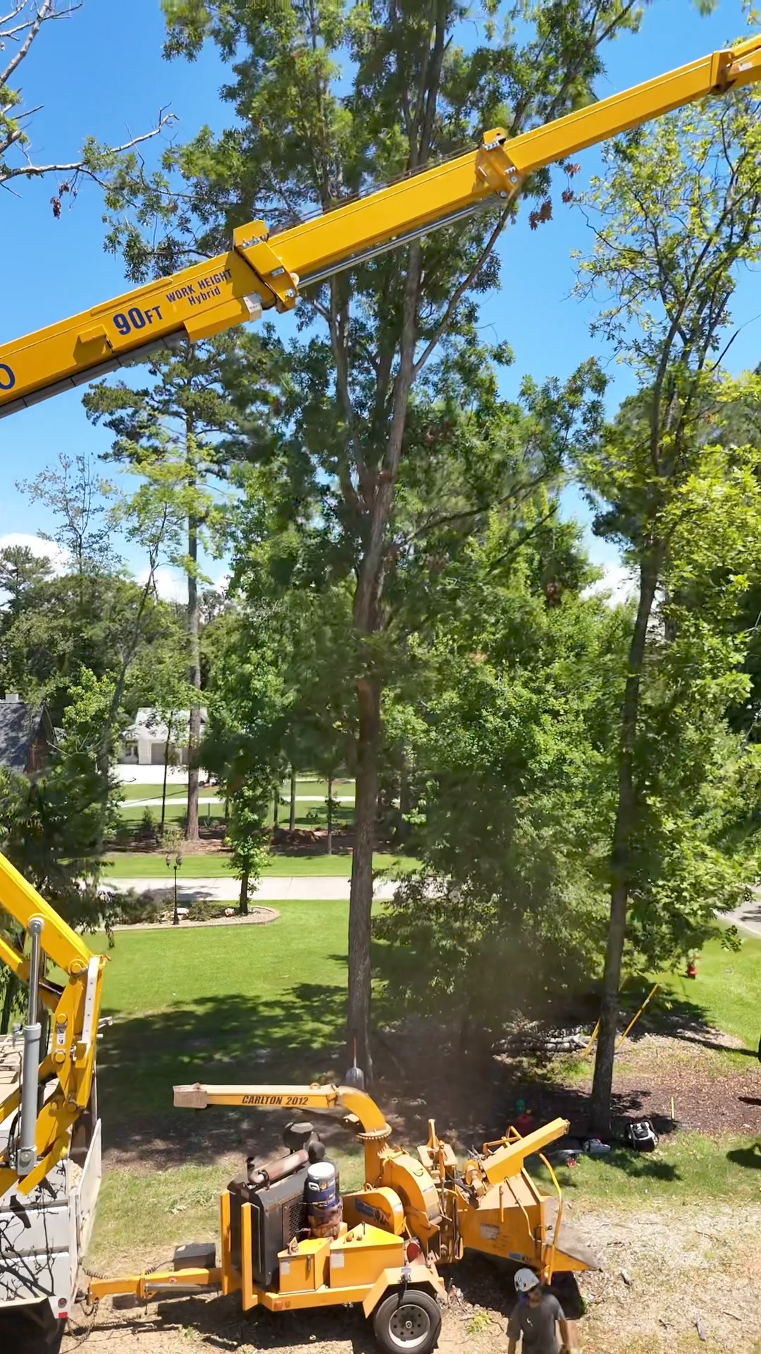 Alpine Tree Care