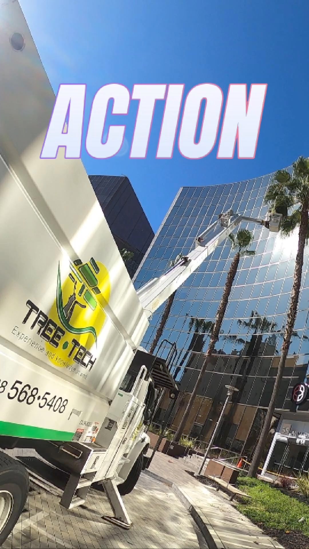 Tree Tech California | San Jose CA