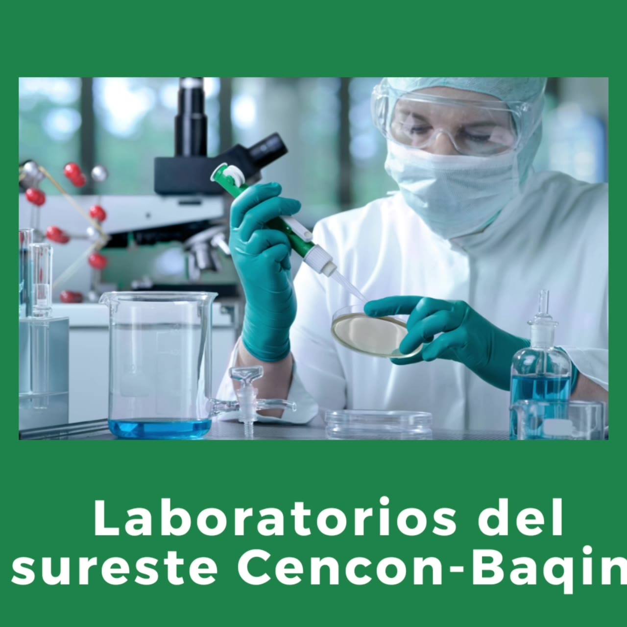Laboratorios del Sureste Cencon- Baqin - Home
