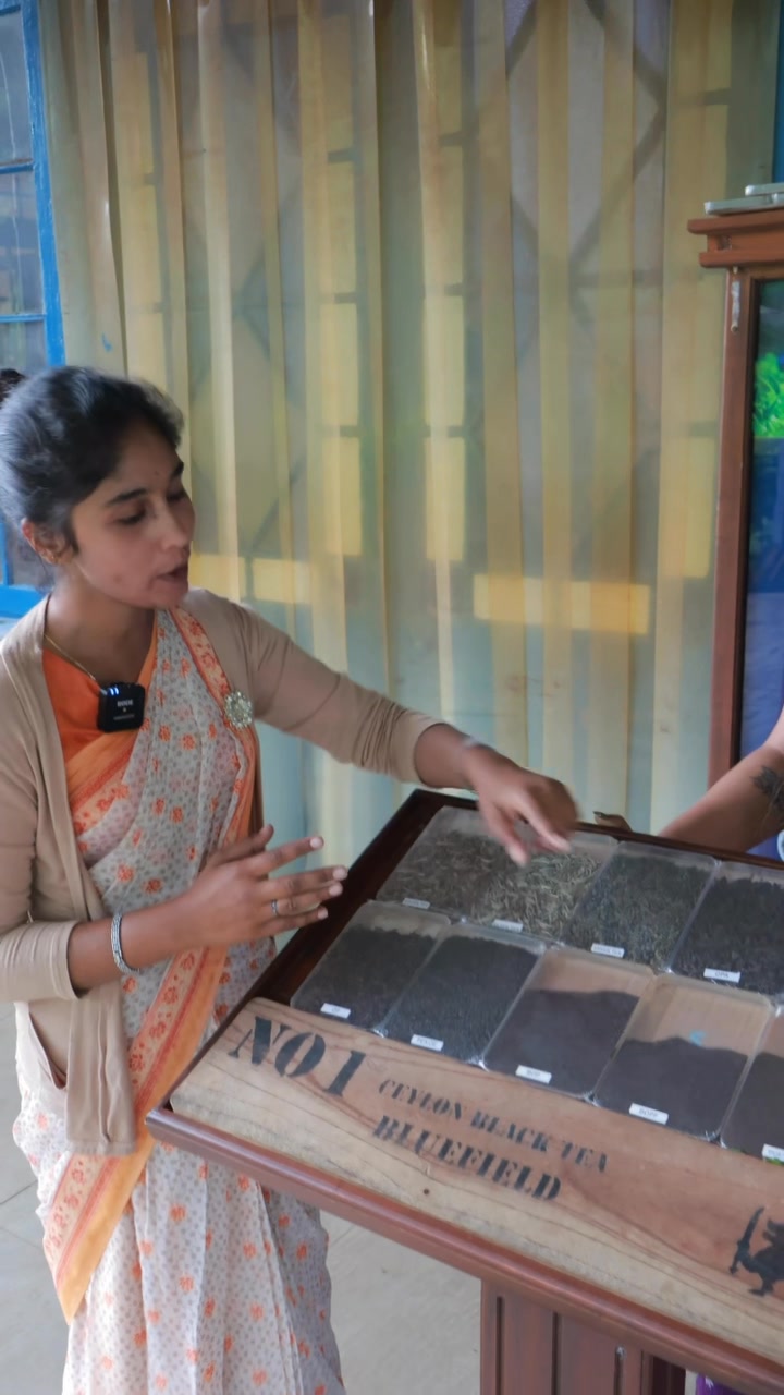 Bluefield tea factory visit in Ramboda, ரம்பொடவில் உள்ள புளூஃபீல்ட் ...