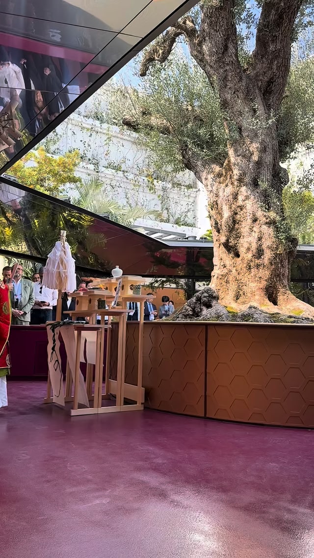 【7月末迄】EXPO2025フランス館 椅子GREEN×PINK×BROWN France Expo 2025 Osaka (@franceexpo2025osaka) • Facebook