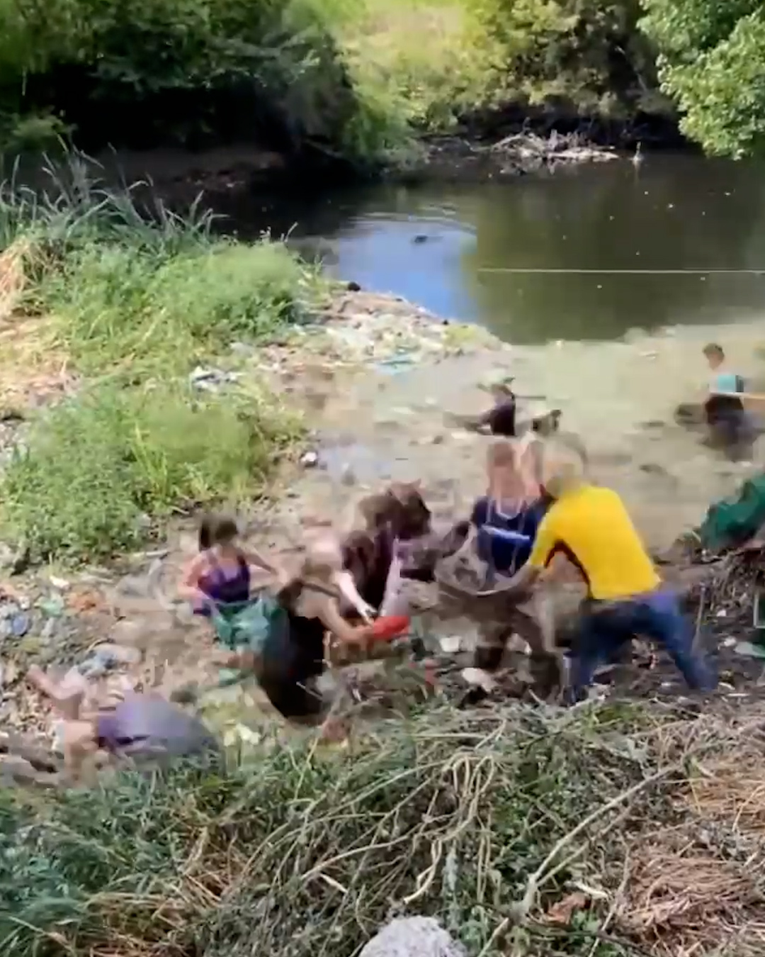 Over 100 volunteers helped to transform this polluted river back to its ...