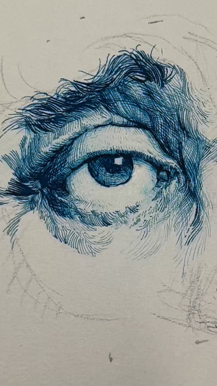 Testing the ackerman pen Manga G Zebra Classic fountain pen