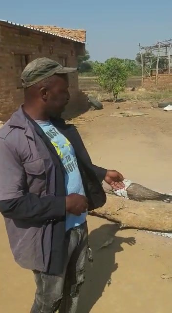 Musvo Zimbabwe 1 on Reels | Facebook