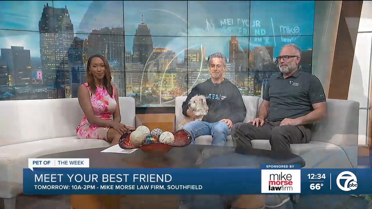 Thank you, WXYZ-TV Channel 7, for today's lovely interview and for