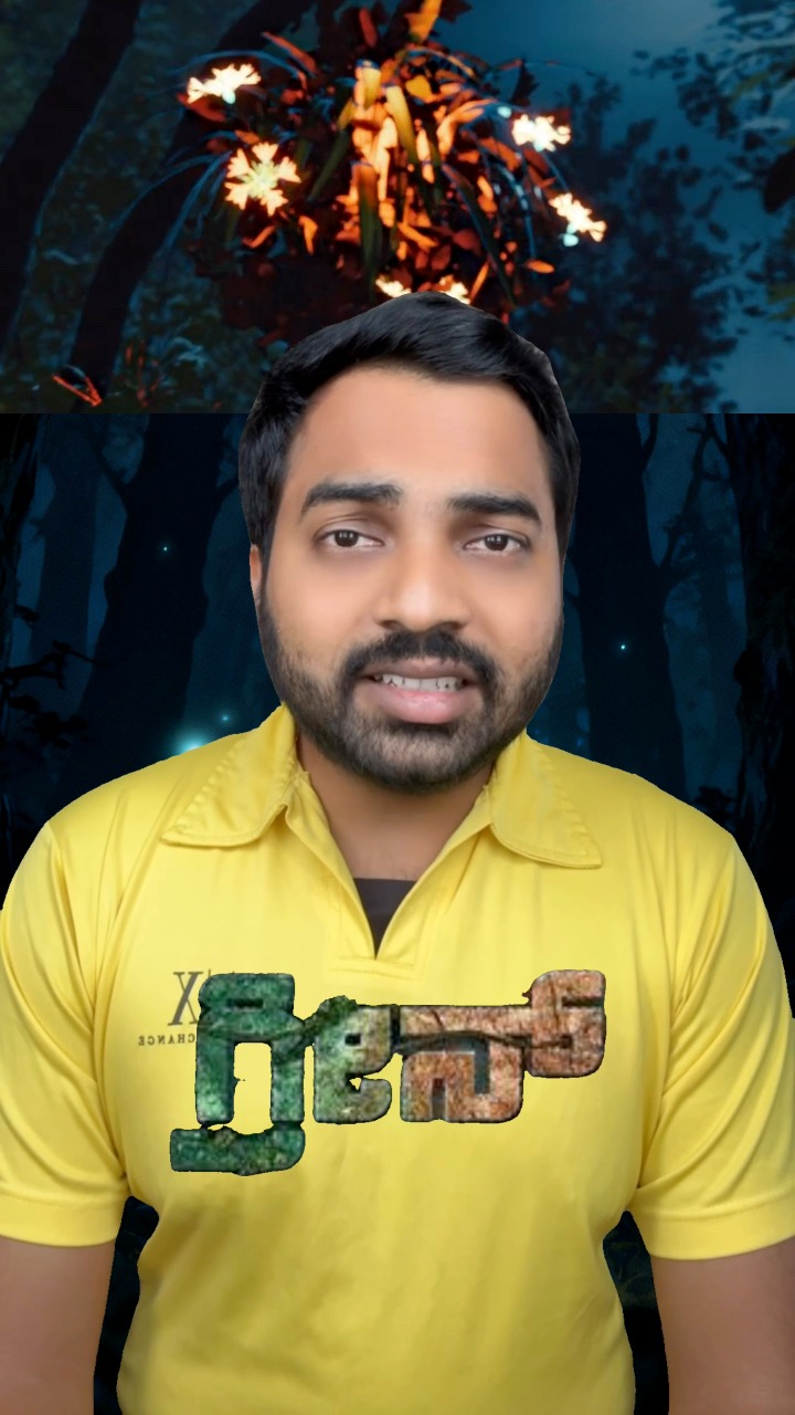 Bourn Films | Bangalore