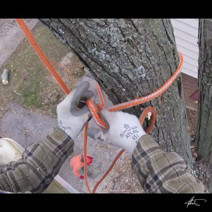 Did a little span rigging with X-Rings today from the bucket, in a spot ...