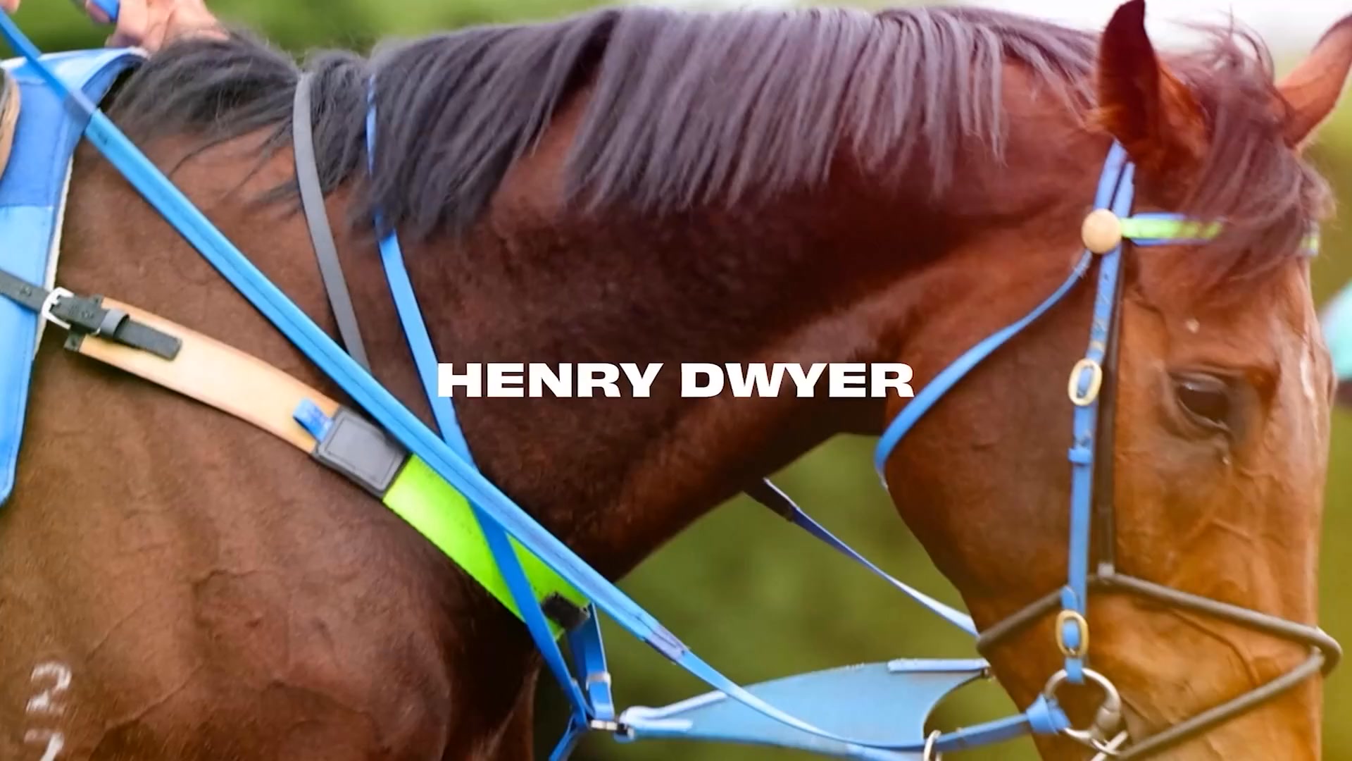 Get your weekly dose of HDR right here! 👇 | Henry Dwyer Racing | Facebook