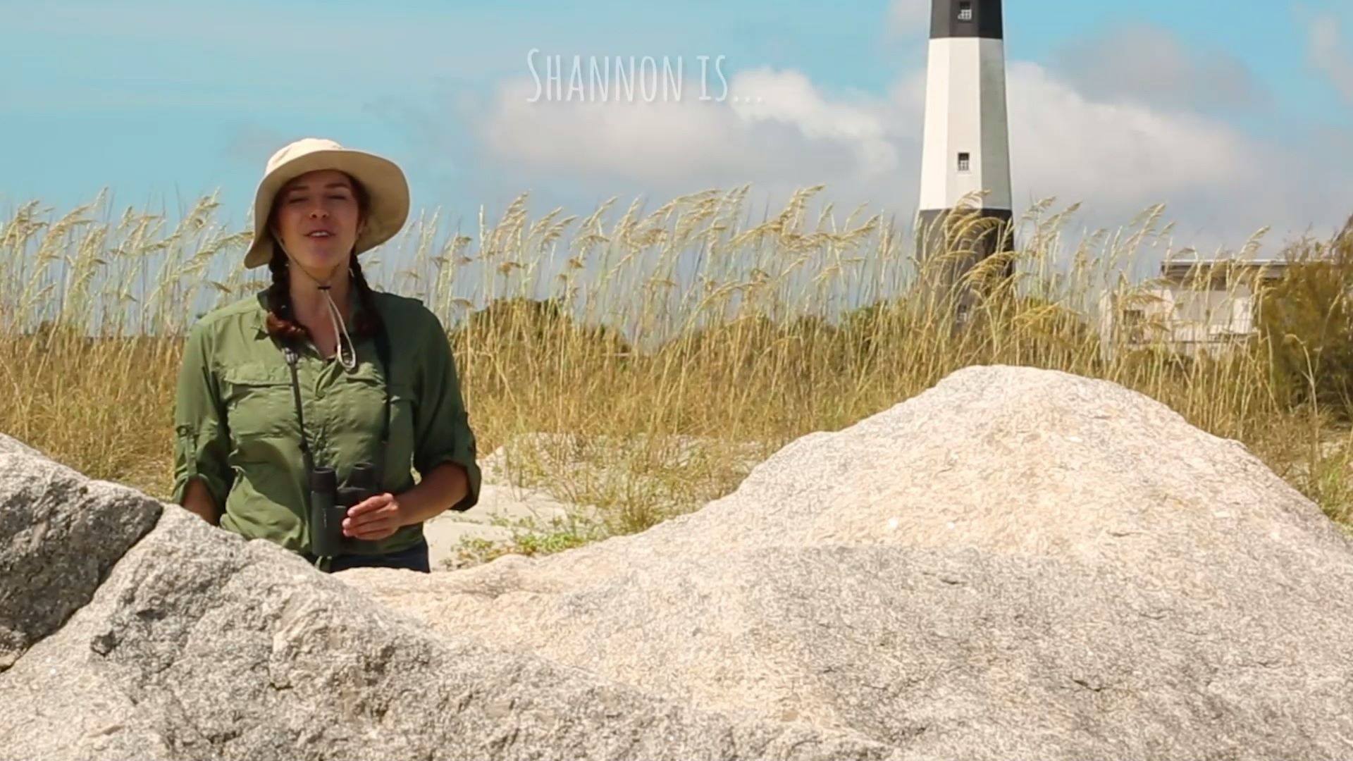 The Seashell Hunter | Who's ready to trade snow for seashells? | By ...
