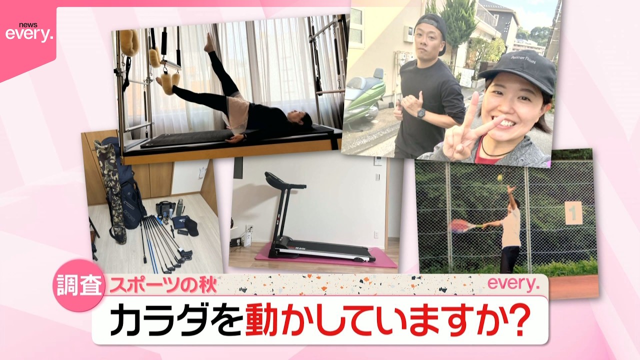 活動歴および当時の関連ビジュアル記録