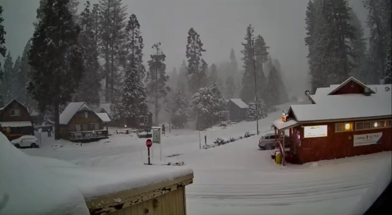 ShortHorn Cam at Shaver http://shaverlakewebcams.info/shorthorn.html ...