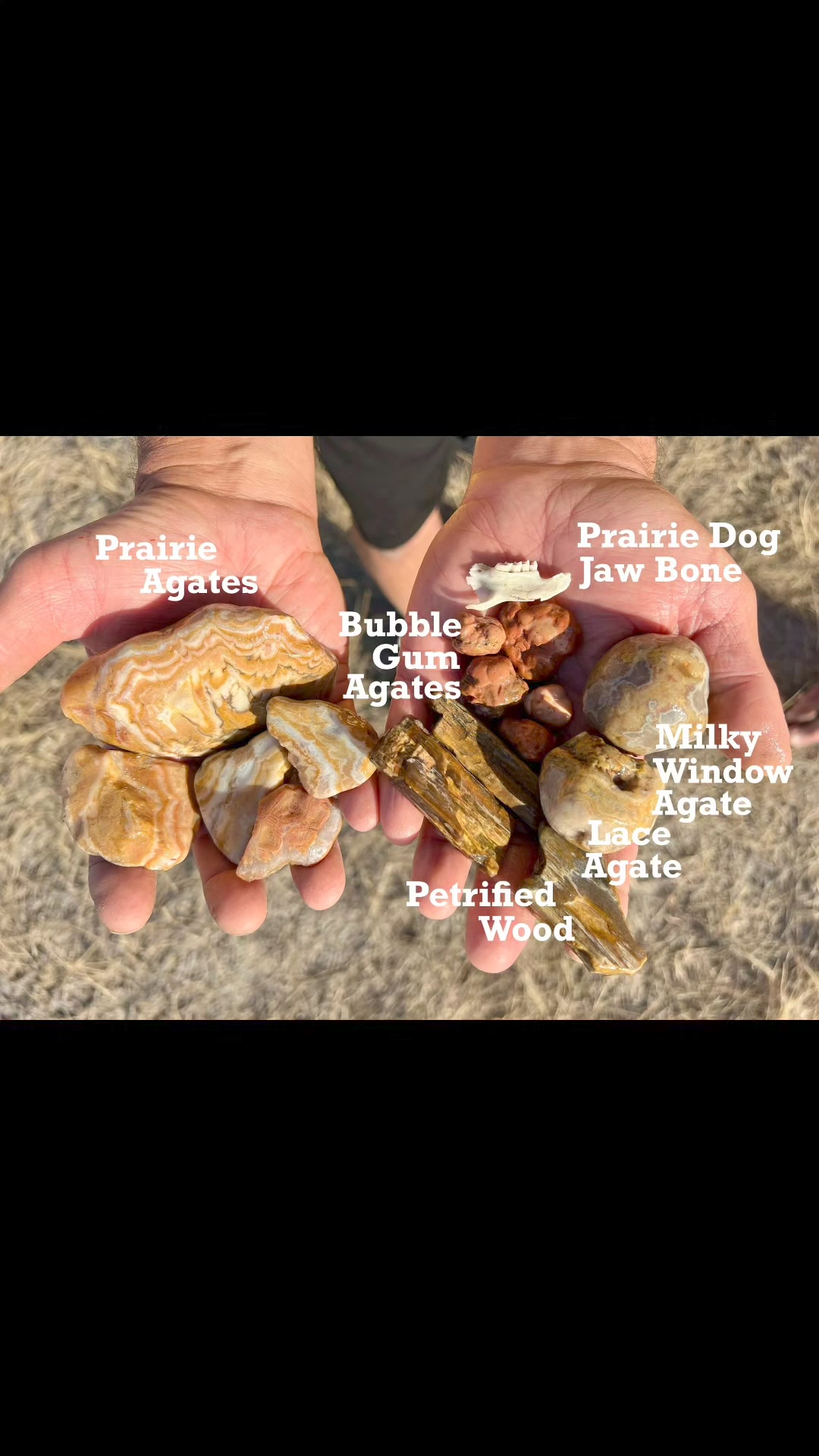 Minnesota Mineral Club on Reels | Facebook