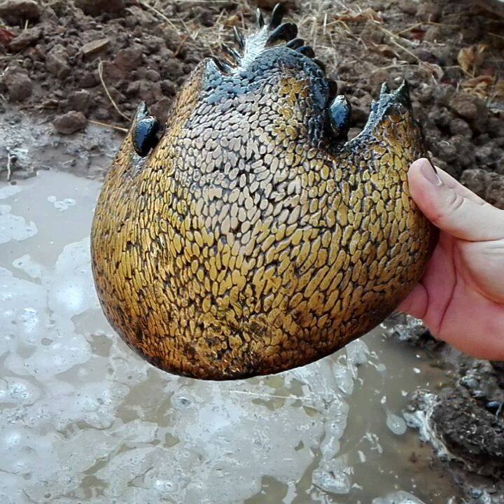 WORLD OF PREHISTORIC CREATURES | Cambroraster falcatus, a genus of ...