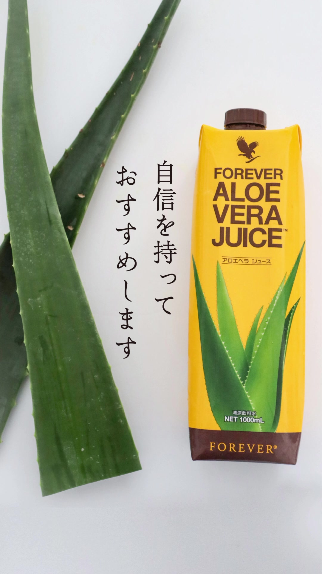 アロエベラの偉大な生命力》 アロエベラは、生命力の強い植物です