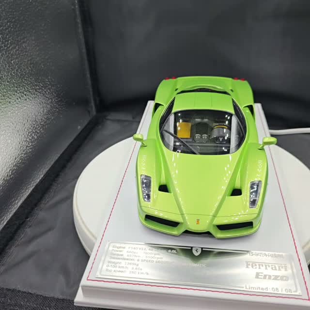 DAVIS GIOVANNI D&G HQ180256 FERRARI ENZO LIGHT GREEN METALLIC